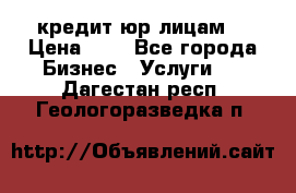 кредит юр лицам  › Цена ­ 0 - Все города Бизнес » Услуги   . Дагестан респ.,Геологоразведка п.